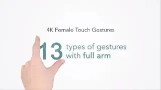 13 Female Hands Touch Gestures 4K - After Effects Template