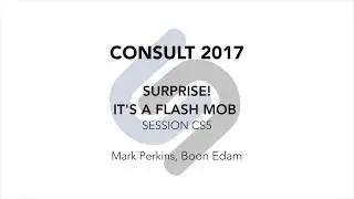 CONSULT 2017: Mark Perkins, 