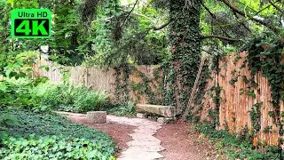 Уединенный сад тишины с пением птиц | 3 часа настоящих звуков природы 🌳🎶