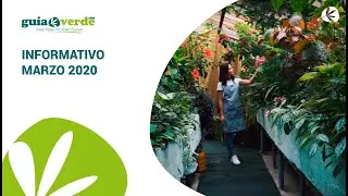 Informativo Gu&iacute;aVerde marzo 2020 #InformativoGV