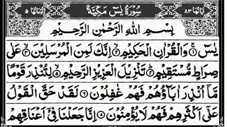 Surah Yasin + Rahman + Mulk | Daily Quran 🌼Full Quran Recitation 🌺🌷(Ep:sod: 42)