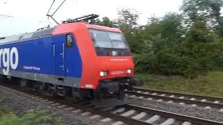 TONERDEZUG  🚇 482 030 - 4  ⌚ 24.9.2024 🏸 16:03 Uhr 📹 Bahnkilometer 41/4 👁&zwj;🗨 Bickenbach