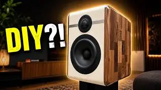 Nobody Believes This Speaker is DIY