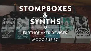 Stompboxes & Synths: Earthquaker Devices + Moog Sub 37