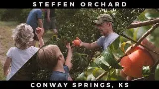 Steffen Orchard:  Peaches