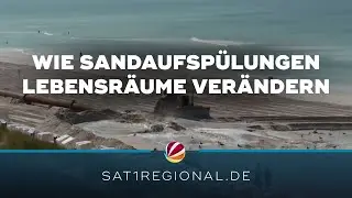 Sandaufspülungen an der Nordseeküste: Wie sie Lebensräume unter Wasser verändern