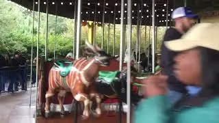 Houston Zoo Carousel November