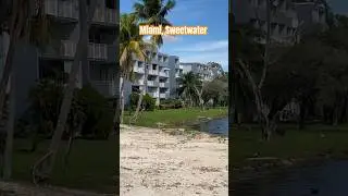😜Miami Living La Vida Loca #miamirealtor #miamirealestate #miamirealestateagent