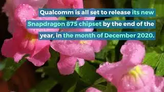 Qualcomm Snapdragon 875 prototype appears in another benchmark test