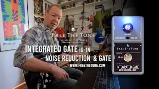 Free The Tone: INTEGRATED GATE IG-1N Noise Reduction & Gate