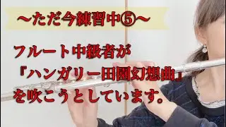 【練習中⑤】フルート中級者が『ハンガリー田園幻想曲』を吹こうとしています。