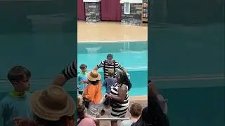 He was so happy 😍 Tom the mime SeaWorld #seaworldmime #funny #comedy #fun #tomthemime