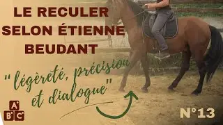 ⭐ Comment faire reculer son cheval avec l&eacute;g&egrave;ret&eacute; &ndash; m&eacute;thode Etienne Beudant ⭐