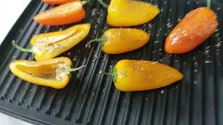 The AMAZING Way We Use Our Hamilton Beach Panini Press!