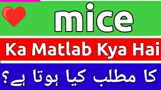 Mice Meaning In Urdu | Mice Meaning | Mice Ka Matlab Kya Hota Hai | Mice Ka Matlab Kya Hai