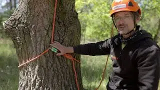 Instalace výstupového lana na bázi kmene - karabiny