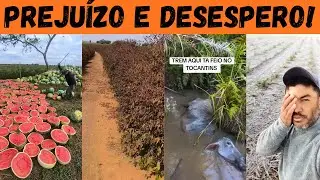 PREJUÍZO na ROÇA: a dor e o desespero de quem perdeu tudo da noite para o dia!