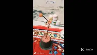 cute plant / 🍯/ pot