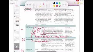 small cell (Oat cell ) lung carcinoma #Respiratory 53 | First Aid USMLE Step 1 in Urdu/Hindi |