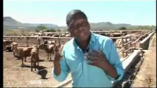 Africa Business Report 7 - Botswana Investment - BBC News