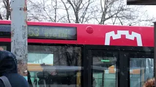 Balsavimas dėl nemokamo viešojo transporto Vilniuje