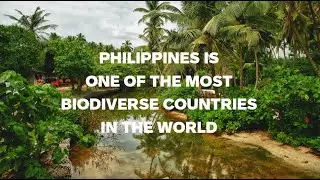 Most Critically Endangered Species in the Philippines - SOME ARE ALMOST EXTINCT!!