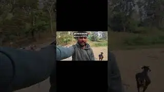 Jharkhand📍Mirchiya Waterfall #youtubepublic #newblogsvideo #jharkhandviralvideo 