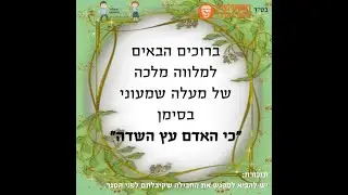 גולן אזולאי הופעה חיה Golan Azulay  Show