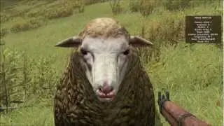 The Sounds of DayZ