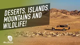 Explore Al Ain | Visit Abu Dhabi