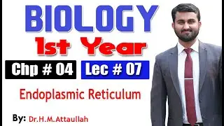 Endoplasmic Reticulum | Chapter 4 | 1st year Biology | Lec. # 07
