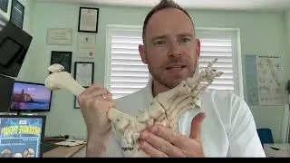 Common causes of heel pain -and how to treat
