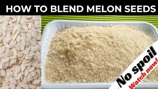 How to Perfectly Blend Melon Seeds (Egusi) | Easy Egusi Blending Tutorial