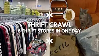 6 Thrift Stores in one day! 
