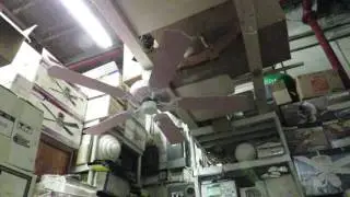 Quorum Nursery 52