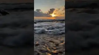 #kishorekumar #sunset #beach #oldisgoldsongs #nature #youtubeshorts #explore #viral #foryou