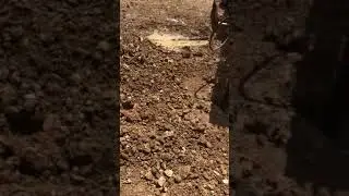 Piers slab footing 😉