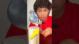 The WEIRDEST Inventions in the World 😭