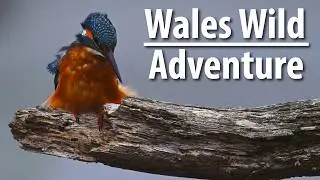 TRAILER -  WALES Unforgettable Journey Begins!