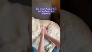 3 Massagegriffe f&uuml;r Zuhause
