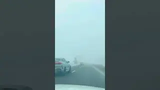 Мудрые слова
