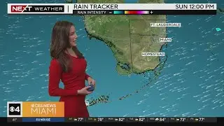 South Florida weather for Saturday 12/7/24 9AM