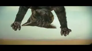 Catisfactions