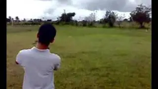 lord falcon 01