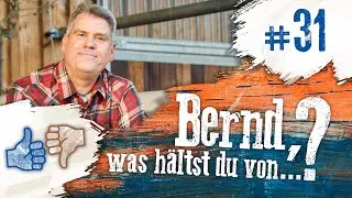 Bernd, was h&auml;ltst du von...? #31 Longieren mit Knotenhalfter, Online Trainer, Western vs. Englisch