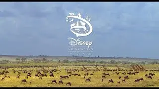 Disney Celebrates Conservation (2018)
