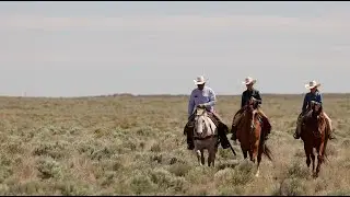 Perez Cattle Company: The New Mexico Lady Breeding Program