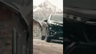 Suzuki S-Cross Hybrid neve