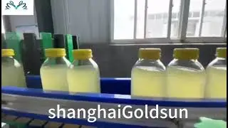 beverage filling line/glass bottle juice filling line