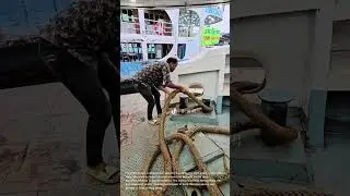 Mooring a Boat: Dockworker's Professional Technique